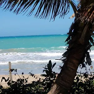  Apartment Ivbb Beach Studio Puerto Rico